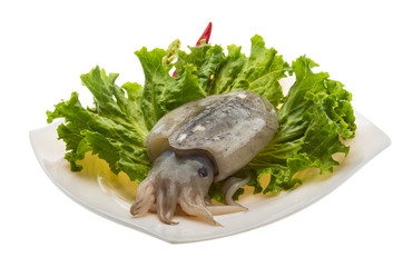 Raw cuttlefish