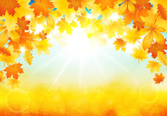 Naklejka na ściany i meble Sunny autumn day