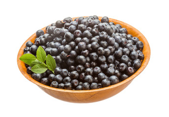 Blueberry
