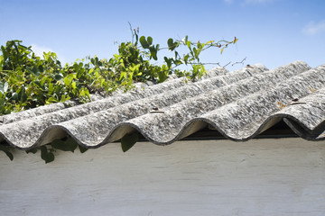 Dahgferous toxic asbestos roof