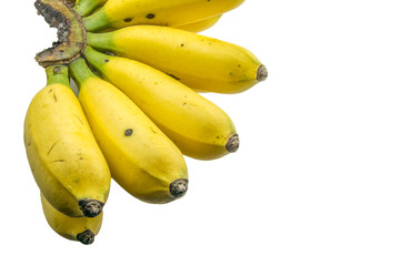 bananas on white background