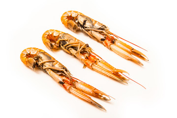 Langoustine isolated on a white background.
