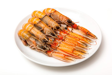 Langoustine  (Nephrops norvegicus) isolated on a white studio ba