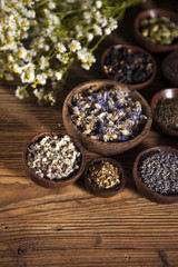 The ancient Chinese medicine