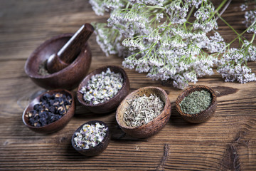 The ancient Chinese medicine