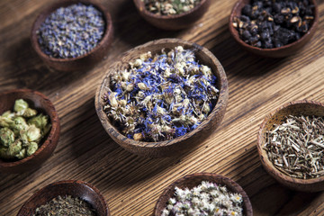 The ancient Chinese medicine