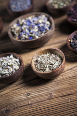 The ancient Chinese medicine