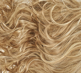 Hair fragment as a background composition