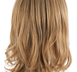 Hair fragment over the white
