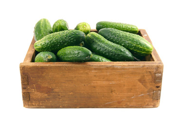 Cucumbers in an old box.