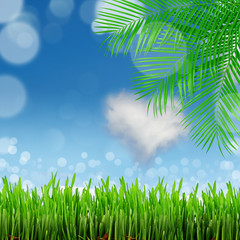 Obraz premium natural green background with selective focus