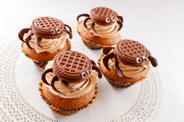 chocolate muffins
