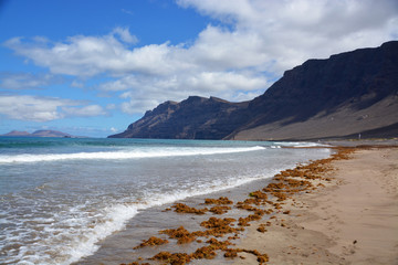 panoramica de la playa de famara en la isla de lanzarote