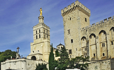 Fototapeta na wymiar Avignone, Palazzo dei Papi e Notre Dame des Domes