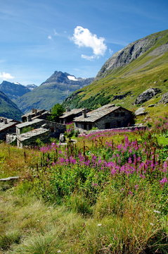 bonneval sur arc-hameau de l'ecot