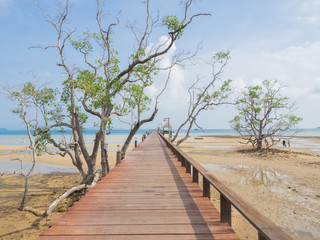 wooden pier in Mark Island, Trad province - 70275717