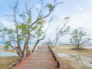 Fototapeta na wymiar wooden pier in Mark Island, Trad province