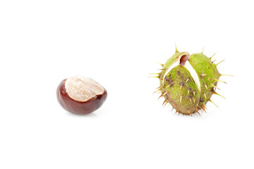 Chestnuts isolated on white