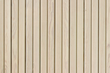Fototapeta premium The wood texture