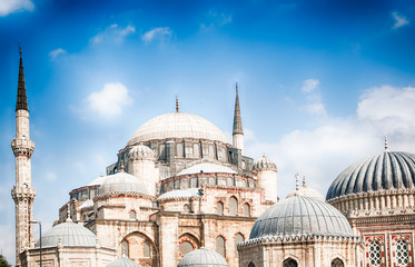 Fototapeta na wymiar beautiful mosque in Istanbul