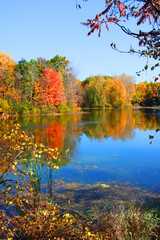 Autumn reflections