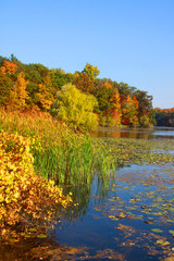 Kent lake landscape
