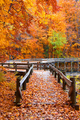 Kleine brug door herfstbomen