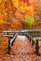 Foto auf Acrylglas Herbst Kleine Brücke durch Herbstbäume