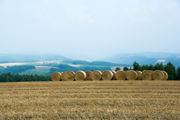 横に並んだ麦稈ロール