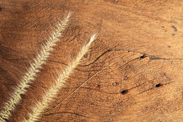 grass flower1
