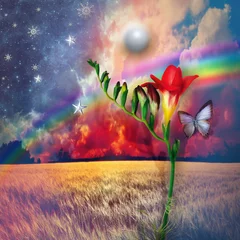 Raamstickers Starry landscape with freesia and rainbow © Rosario Rizzo