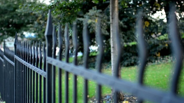 metal fence - garden