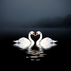 Romantische Landschaft mit Schwänen