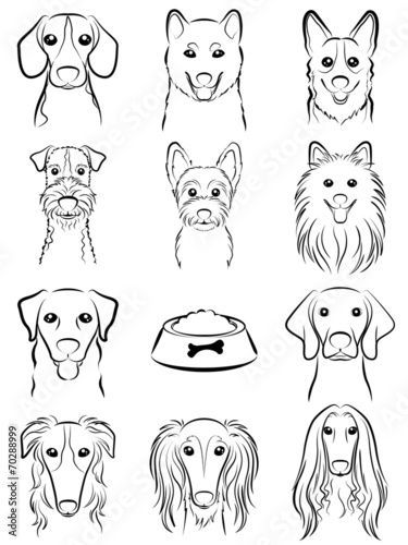  Dog Line drawing Fotolia.com 