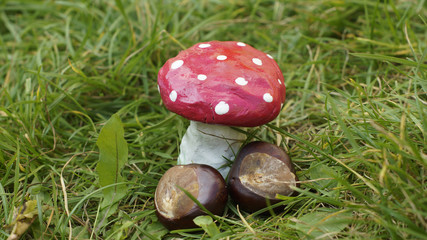 Mushroom an chestnuts