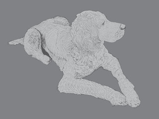 isolated hunting dog - illustration