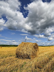 krajobraz wiejski, po żniwach © janmiko