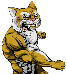 Naklejka premium Punching wildcat mascot