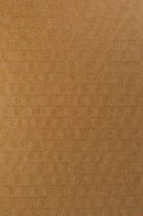 Cardboard Texture