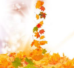 Naklejka na ściany i meble Hintergrund Herbst