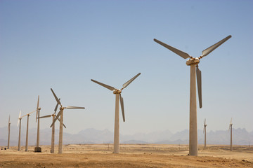 Windmills in Hurghada desert