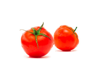 fresh wet tomato fruits