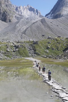 le lac des vaches