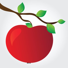 apple on a branch
