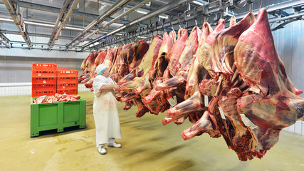 Kühlhaus einer Schlachterei // Cold store a slaughterhouse