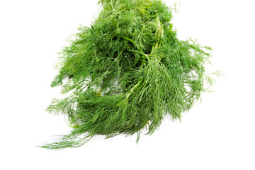 Frischer Grüner Dill