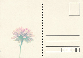 old postal card with flower in retro style