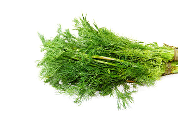 Frischer Grüner Dill