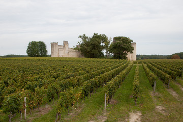 Fototapeta na wymiar Dans le fond des vignes le château