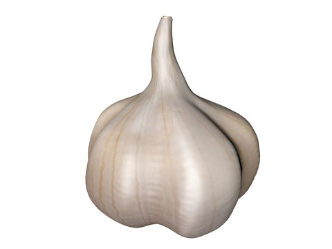 Ail sur fonc blanc